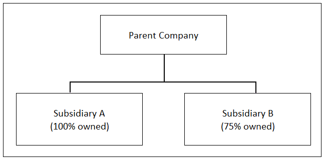 Defining Noncontrolling Interest