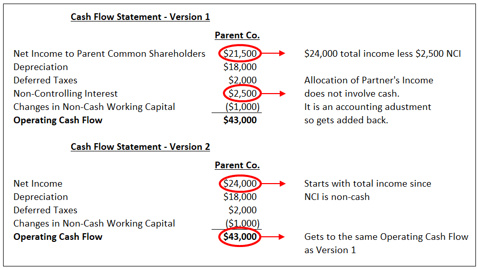 Noncontrolling Interest Cash Flow Statement